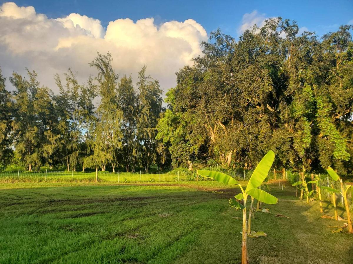 Maleka Farm: Tent Glamping North Shore Oahu Laie Екстериор снимка